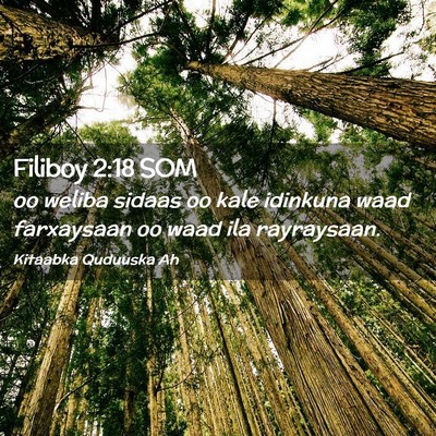 Picture 02 - Filiboy 2:18 SOM - oo weliba sidaas oo kale idinkuna waad farxaysaan - Bible Verse Picture