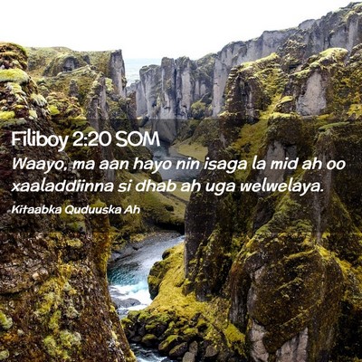 Picture 02 - Filiboy 2:20 SOM - Waayo, ma aan hayo nin isaga la mid ah oo - Bible Verse Picture
