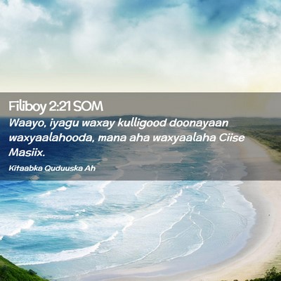 Picture 02 - Filiboy 2:21 SOM - Waayo, iyagu waxay kulligood doonayaan - Bible Verse Picture