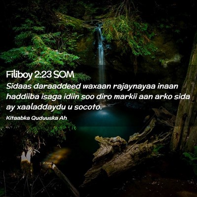 Picture 02 - Filiboy 2:23 SOM - Sidaas daraaddeed waxaan rajaynayaa inaan - Bible Verse Picture