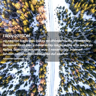 Picture 02 - Filiboy 2:27 SOM - oo xaqiiqa isagu wuu bukay oo dhimashuu ku - Bible Verse Picture