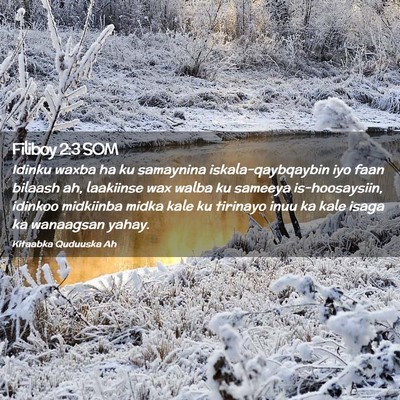 Picture 02 - Filiboy 2:3 SOM - Idinku waxba ha ku samaynina iskala-qaybqaybin - Bible Verse Picture