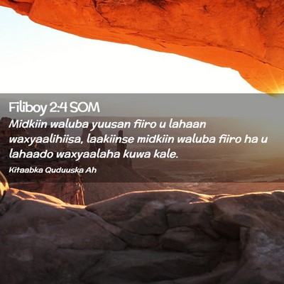Picture 02 - Filiboy 2:4 SOM - Midkiin waluba yuusan fiiro u lahaan - Bible Verse Picture