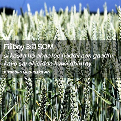 Picture 02 - Filiboy 3:11 SOM - si kasta ha ahaatee haddii aan gaadhi karo - Bible Verse Picture