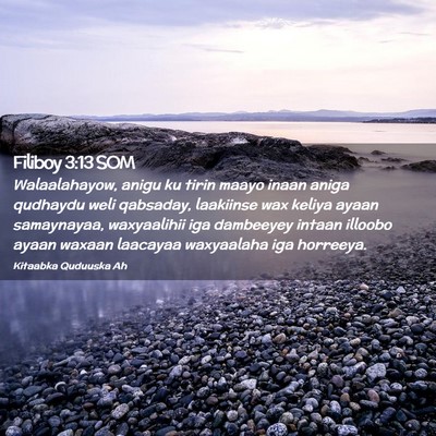 Picture 02 - Filiboy 3:13 SOM - Walaalahayow, anigu ku tirin maayo inaan aniga - Bible Verse Picture