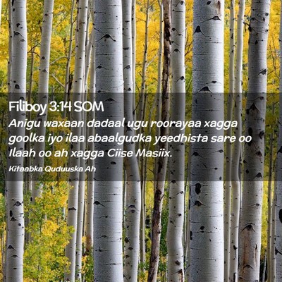 Picture 02 - Filiboy 3:14 SOM - Anigu waxaan dadaal ugu roorayaa xagga goolka iyo - Bible Verse Picture