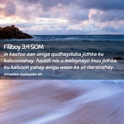 Picture 02 - Filiboy 3:4 SOM - in kastoo aan aniga qudhayduba jidhka ku - Bible Verse Picture