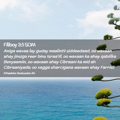 Picture 02 - Filiboy 3:5 SOM - Aniga waxaa lay guday maalintii siddeedaad, oo - Bible Verse Picture