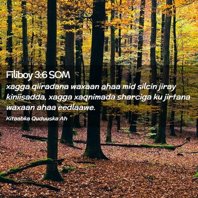 Picture 02 - Filiboy 3:6 SOM - xagga qiiradana waxaan ahaa mid silcin jiray - Bible Verse Picture