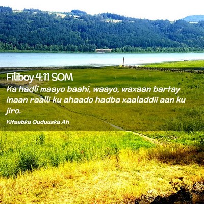 Picture 02 - Filiboy 4:11 SOM - Ka hadli maayo baahi, waayo, waxaan bartay inaan - Bible Verse Picture