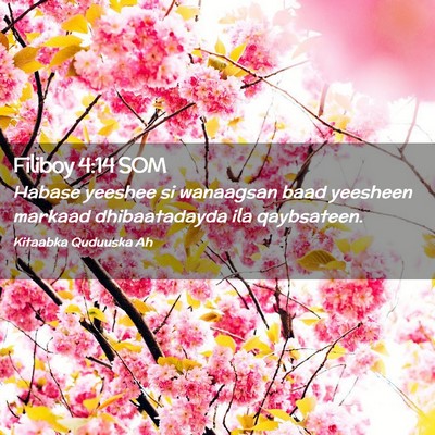 Picture 02 - Filiboy 4:14 SOM - Habase yeeshee si wanaagsan baad yeesheen markaad - Bible Verse Picture