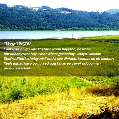 Picture 02 - Filiboy 4:18 SOM - Laakiinse anigu wax kastaba waan haystaa, oo waan - Bible Verse Picture