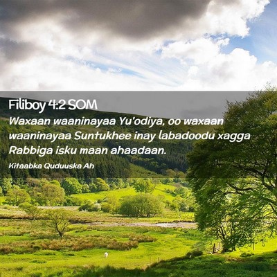 Picture 02 - Filiboy 4:2 SOM - Waxaan waaninayaa Yu'odiya, oo waxaan waaninayaa - Bible Verse Picture