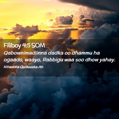 Picture 02 - Filiboy 4:5 SOM - Qabownimadiinna dadka oo dhammu ha ogaado, waayo, - Bible Verse Picture