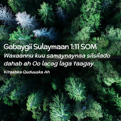 Picture 02 - Gabaygii Sulaymaan 1:11 SOM - Waxaannu kuu samaynaynaa silsilado dahab ah Oo - Bible Verse Picture