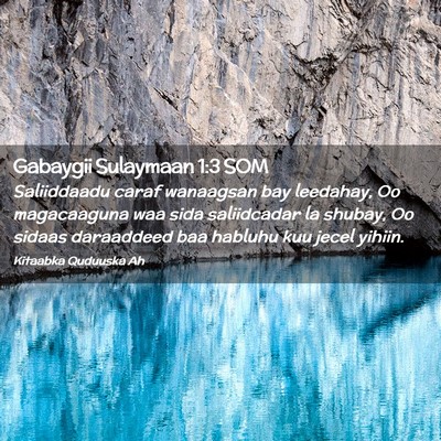 Picture 02 - Gabaygii Sulaymaan 1:3 SOM - Saliiddaadu caraf wanaagsan bay leedahay, Oo - Bible Verse Picture