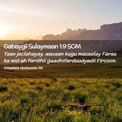 Picture 02 - Gabaygii Sulaymaan 1:9 SOM - Taan jeclahayay, waxaan kugu masaalay Faras ka - Bible Verse Picture