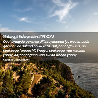 Picture 02 - Gabaygii Sulaymaan 2:14 SOM - Qoolleydayda qararka dillaacyadooda iyo - Bible Verse Picture