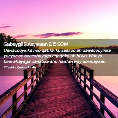Picture 02 - Gabaygii Sulaymaan 2:15 SOM - Dawacooyinka noo qabta, kuwaasoo ah dawacooyinka - Bible Verse Picture