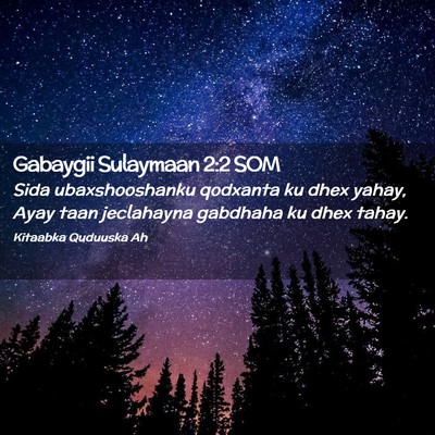 Picture 02 - Gabaygii Sulaymaan 2:2 SOM - Sida ubaxshooshanku qodxanta ku dhex yahay, Ayay - Bible Verse Picture