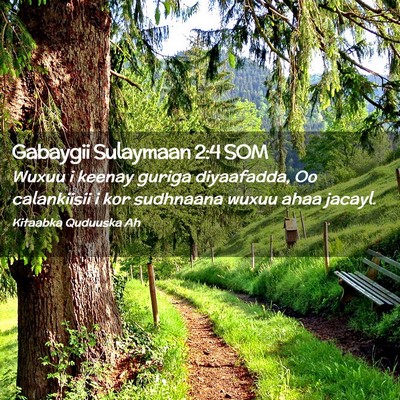 Picture 02 - Gabaygii Sulaymaan 2:4 SOM - Wuxuu i keenay guriga diyaafadda, Oo calankiisii - Bible Verse Picture