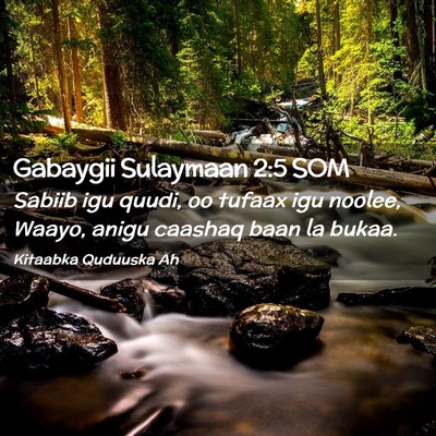 Picture 02 - Gabaygii Sulaymaan 2:5 SOM - Sabiib igu quudi, oo tufaax igu noolee, Waayo, - Bible Verse Picture