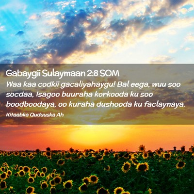 Picture 02 - Gabaygii Sulaymaan 2:8 SOM - Waa kaa codkii gacaliyahaygu! Bal eega, wuu soo - Bible Verse Picture