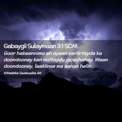Picture 02 - Gabaygii Sulaymaan 3:1 SOM - Goor habeennimo ah ayaan sariirtayda ka - Bible Verse Picture