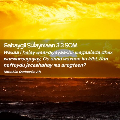 Picture 02 - Gabaygii Sulaymaan 3:3 SOM - Waxaa i helay waardiyayaashii magaalada dhex - Bible Verse Picture