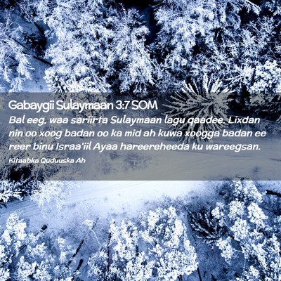 Picture 02 - Gabaygii Sulaymaan 3:7 SOM - Bal eeg, waa sariirta Sulaymaan lagu qaadee. - Bible Verse Picture