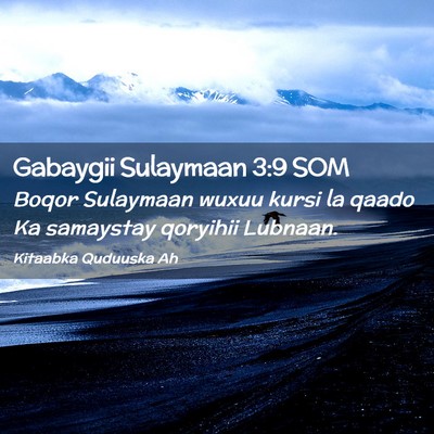 Picture 02 - Gabaygii Sulaymaan 3:9 SOM - Boqor Sulaymaan wuxuu kursi la qaado Ka samaystay - Bible Verse Picture