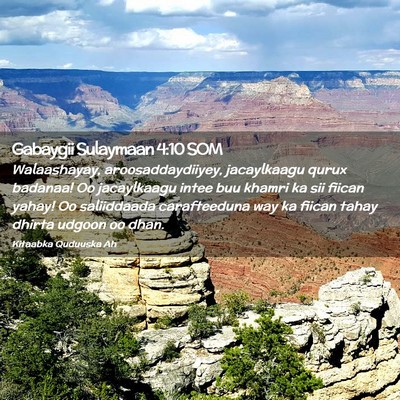 Picture 02 - Gabaygii Sulaymaan 4:10 SOM - Walaashayay, aroosaddaydiiyey, jacaylkaagu qurux - Bible Verse Picture