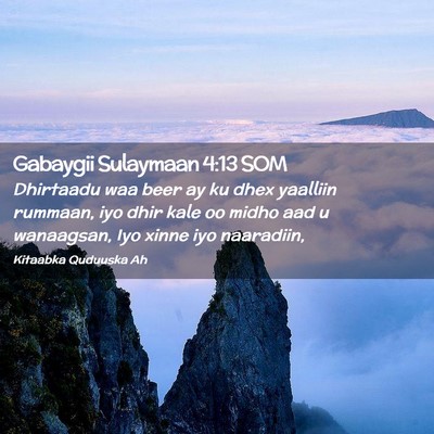 Picture 02 - Gabaygii Sulaymaan 4:13 SOM - Dhirtaadu waa beer ay ku dhex yaalliin rummaan, - Bible Verse Picture