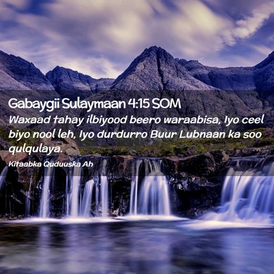 Picture 02 - Gabaygii Sulaymaan 4:15 SOM - Waxaad tahay ilbiyood beero waraabisa, Iyo ceel - Bible Verse Picture