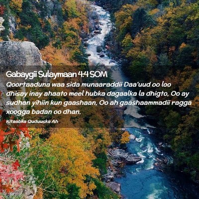 Picture 02 - Gabaygii Sulaymaan 4:4 SOM - Qoortaaduna waa sida munaaraddii Daa'uud oo loo - Bible Verse Picture
