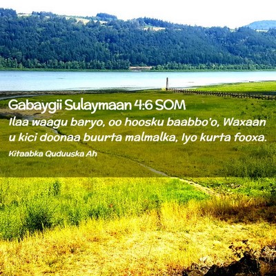 Picture 02 - Gabaygii Sulaymaan 4:6 SOM - Ilaa waagu baryo, oo hoosku baabbo'o, Waxaan u - Bible Verse Picture