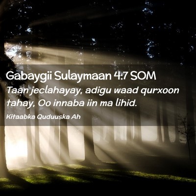 Picture 02 - Gabaygii Sulaymaan 4:7 SOM - Taan jeclahayay, adigu waad qurxoon tahay, Oo - Bible Verse Picture