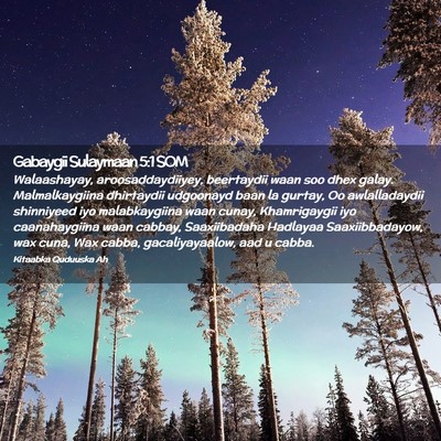 Picture 02 - Gabaygii Sulaymaan 5:1 SOM - Walaashayay, aroosaddaydiiyey, beertaydii waan - Bible Verse Picture