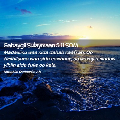 Picture 02 - Gabaygii Sulaymaan 5:11 SOM - Madaxiisu waa sida dahab saafi ah, Oo timihiisuna - Bible Verse Picture