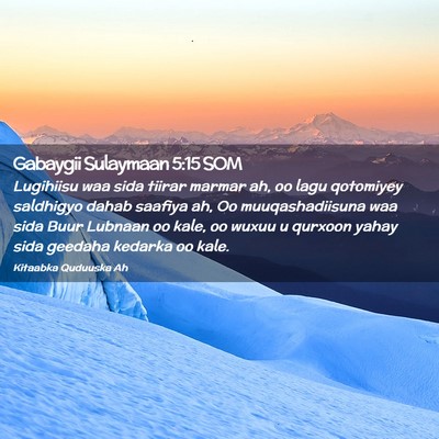 Picture 02 - Gabaygii Sulaymaan 5:15 SOM - Lugihiisu waa sida tiirar marmar ah, oo lagu - Bible Verse Picture