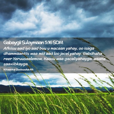 Picture 02 - Gabaygii Sulaymaan 5:16 SOM - Afkiisu aad iyo aad buu u macaan yahay, oo isaga - Bible Verse Picture