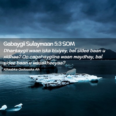 Picture 02 - Gabaygii Sulaymaan 5:3 SOM - Dharkaygii waan iska bixiyey, bal sidee baan u - Bible Verse Picture