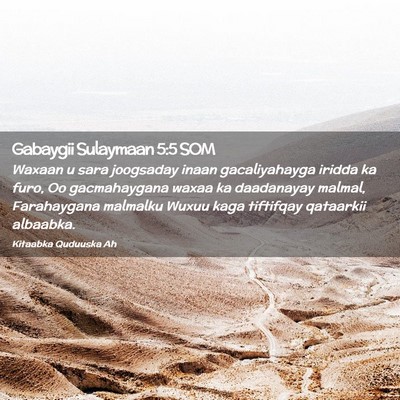 Picture 02 - Gabaygii Sulaymaan 5:5 SOM - Waxaan u sara joogsaday inaan gacaliyahayga - Bible Verse Picture