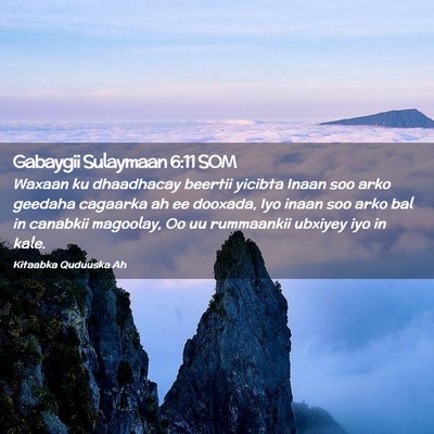 Picture 02 - Gabaygii Sulaymaan 6:11 SOM - Waxaan ku dhaadhacay beertii yicibta Inaan soo - Bible Verse Picture