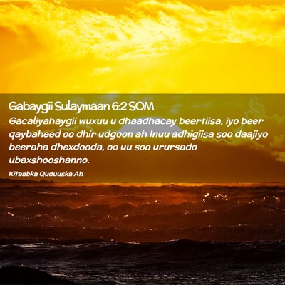 Picture 02 - Gabaygii Sulaymaan 6:2 SOM - Gacaliyahaygii wuxuu u dhaadhacay beertiisa, iyo - Bible Verse Picture