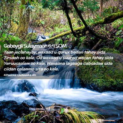 Picture 02 - Gabaygii Sulaymaan 6:4 SOM - Taan jeclahayay, waxaad u qurux badan tahay sida - Bible Verse Picture
