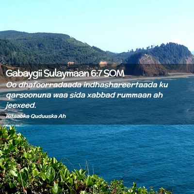 Picture 02 - Gabaygii Sulaymaan 6:7 SOM - Oo dhafoorradaada indhashareertaada ku qarsoonuna - Bible Verse Picture