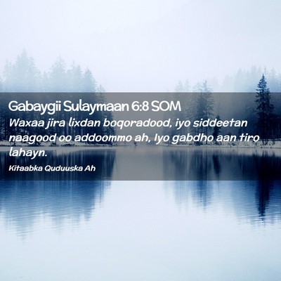 Picture 02 - Gabaygii Sulaymaan 6:8 SOM - Waxaa jira lixdan boqoradood, iyo siddeetan - Bible Verse Picture