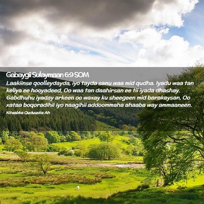 Picture 02 - Gabaygii Sulaymaan 6:9 SOM - Laakiinse qoolleydayda, iyo tayda sanu waa mid - Bible Verse Picture