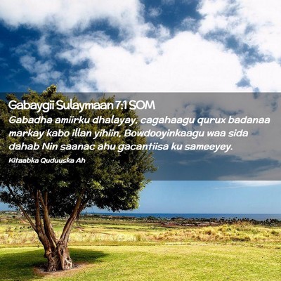 Picture 02 - Gabaygii Sulaymaan 7:1 SOM - Gabadha amiirku dhalayay, cagahaagu qurux badanaa - Bible Verse Picture